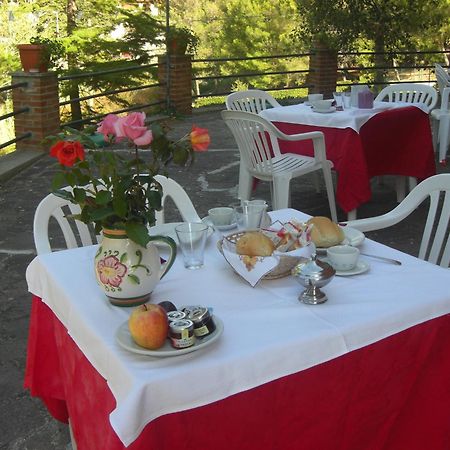Hotel Il Poggetto Castellina Marittima Εξωτερικό φωτογραφία