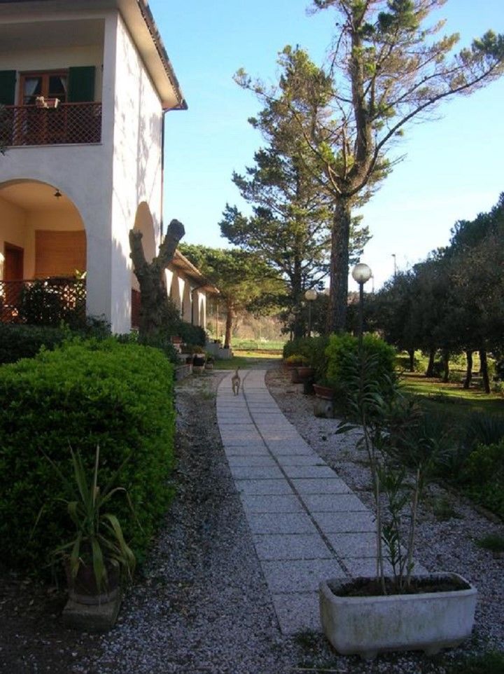 Hotel Il Poggetto Castellina Marittima Εξωτερικό φωτογραφία